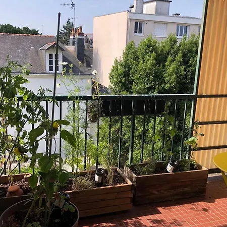 Bright T3 Near Downtown Apartament Nantes